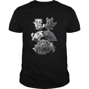 How to Train Your Dragon cat fusion bat Toothless unisex