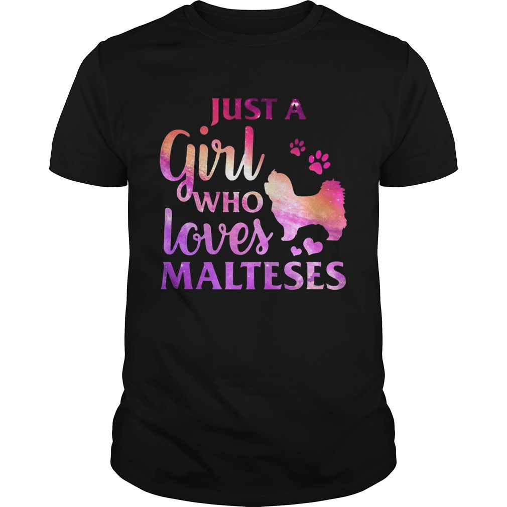 Just A Girl Who Loves Maltese Colorful Gift Shirts