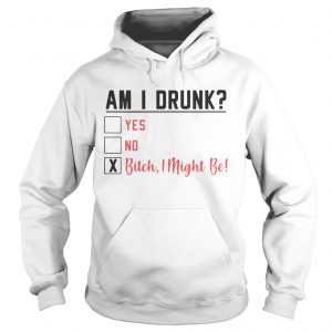 Am I drunk yes no bitch I might be hoodie