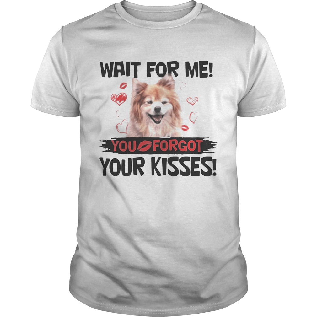 Cute Pomeranian Wait For Me You Forgot Your Kisses Shirts