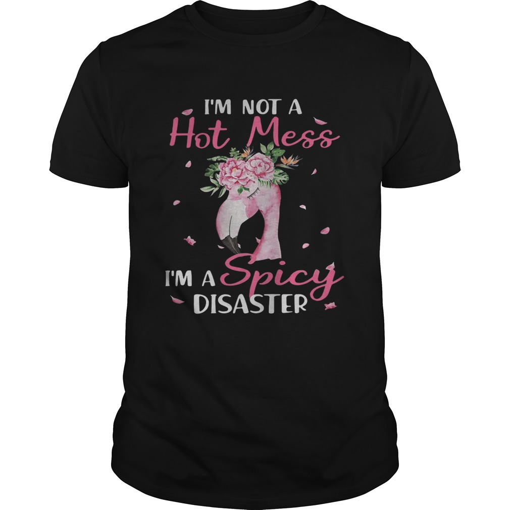 Flamingo I’m not a hot mess I’m a spicy disaster shirts