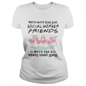 Flamingo were more than just social worker friends were like a really small gang ladies tee