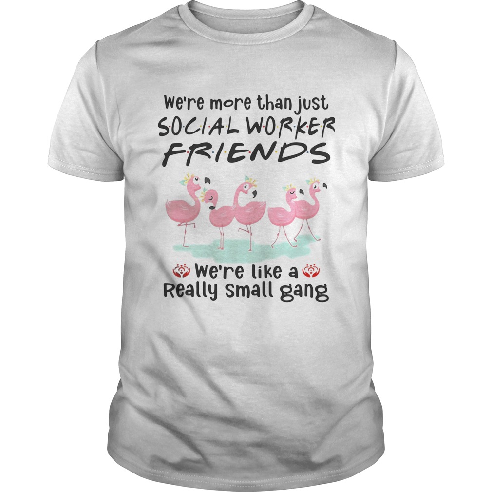 Flamingo we’re more than just social worker friends we’re like a really small gang shirts