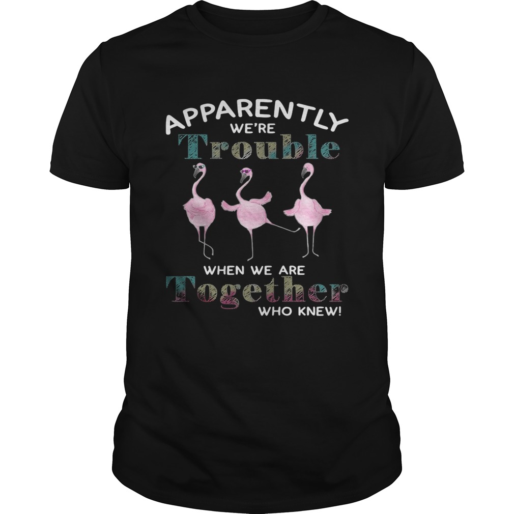 Flamingos apparently were trouble when we are together who knew shirts