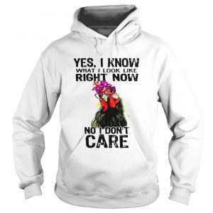 Hen yes I know what I look like right now no I dont care hoodie