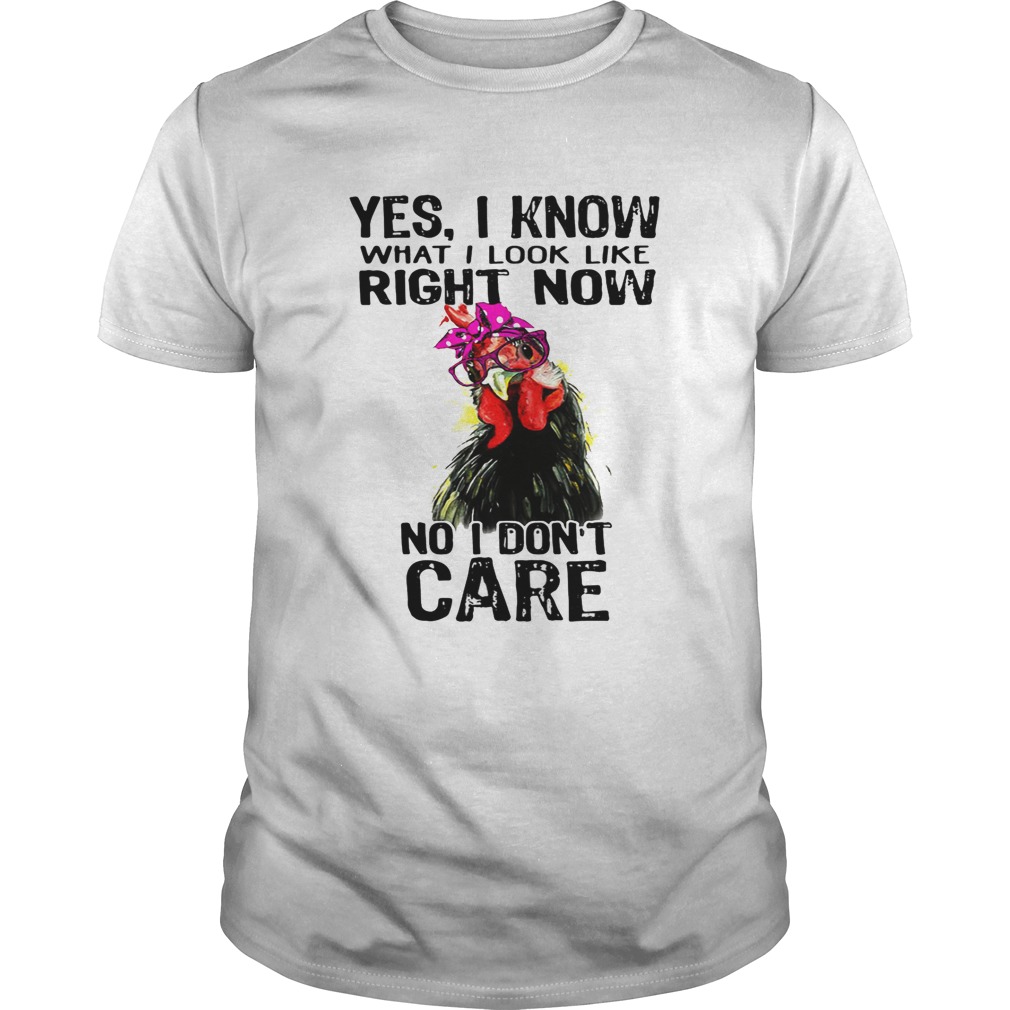 Hen yes I know what I look like right now no I don’t care shirts