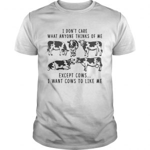 I Dont Care What Anyone Thinks Of Me Funny Gift unisex