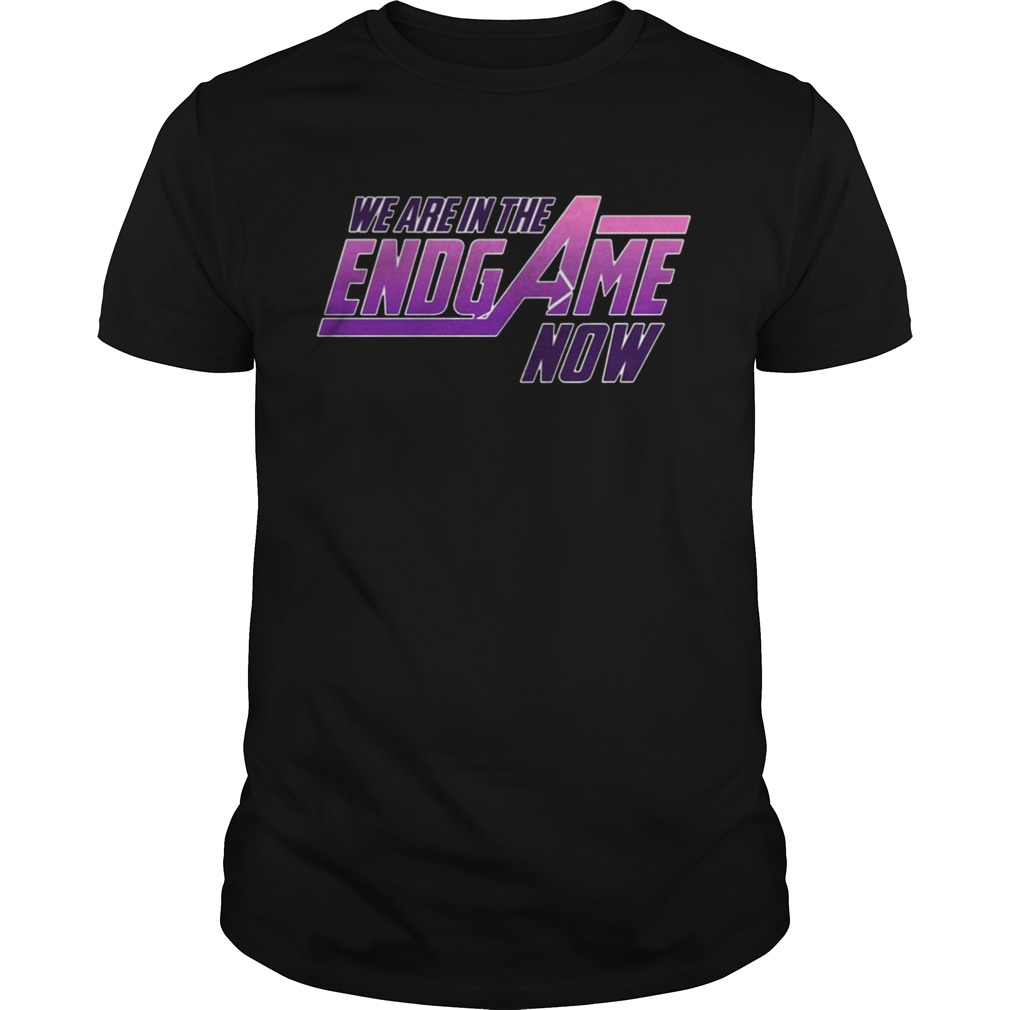 We Are In The Endgame Now shirts