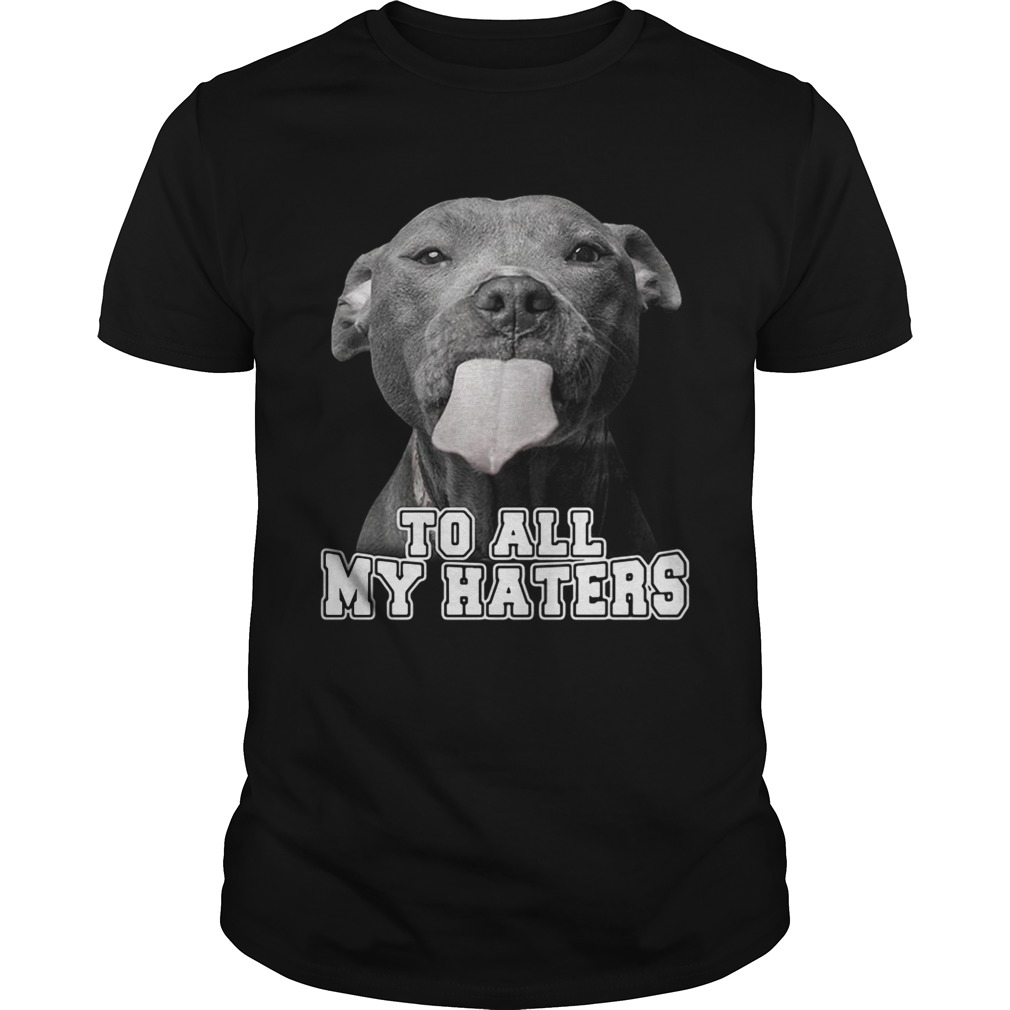 Pitbull to all my haters shirts