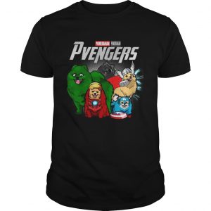 Pomeranian Pvengers Marvel avengers endgame unisex