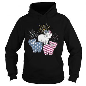 American Flag Pigs For Independence Day Funny hoodie