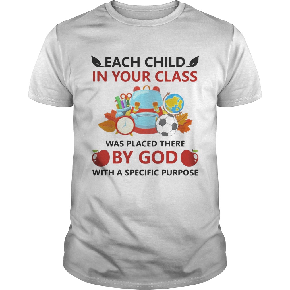 Each child in your class was placed there by God with a specific purpose shirts