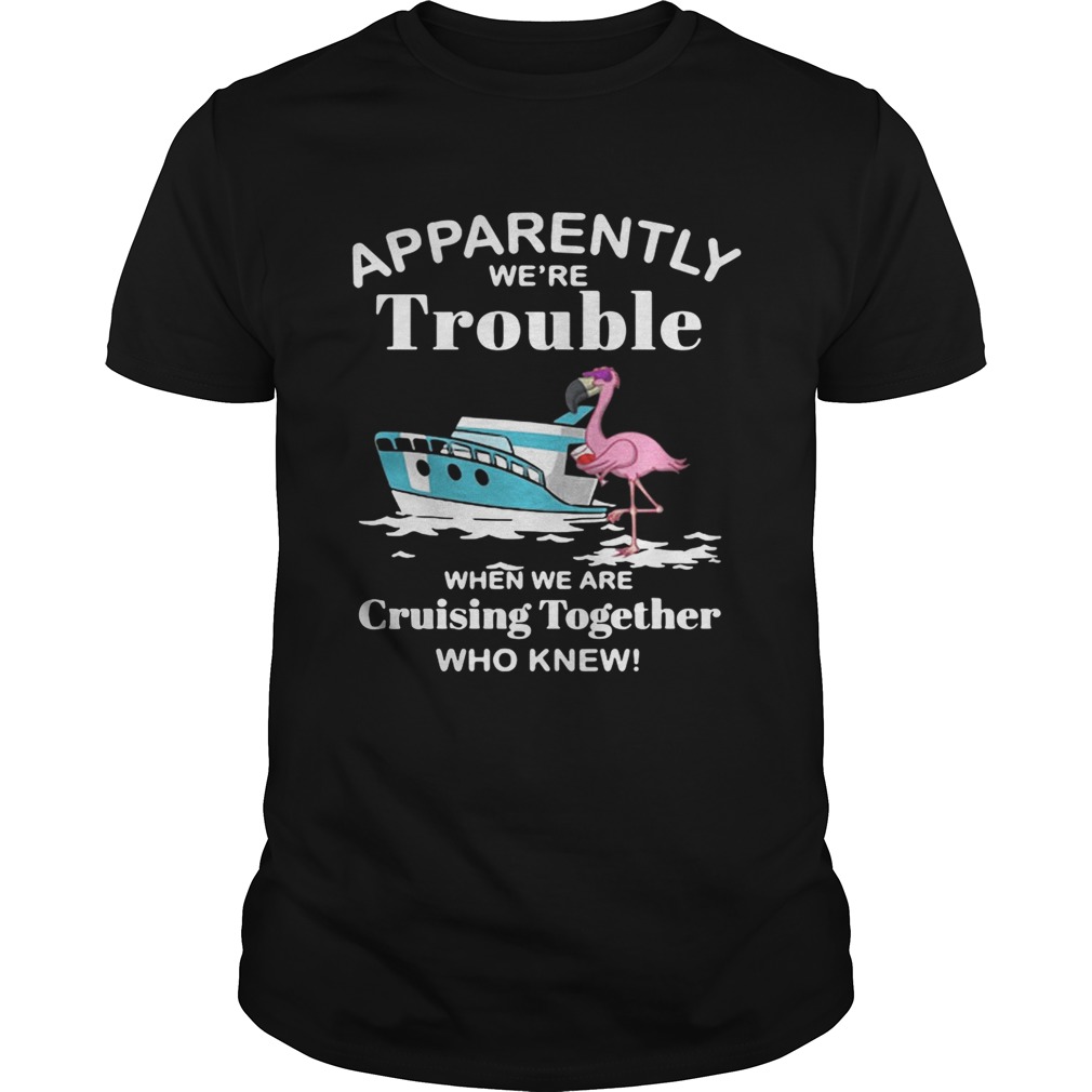 Flamingo apparently we’re trouble when we are cruising together who knew shirts