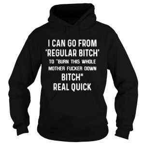 I can go from regular bitch to burn this whole mother fucker down real quick hoodie