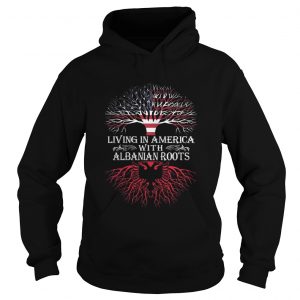 Living in America with Albanian roots hoodie