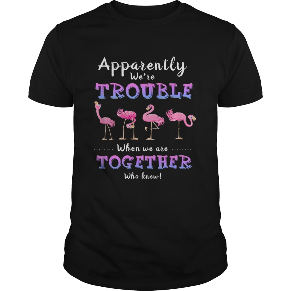 Original Apparently We’re Trouble When We Are Together Flamingo shirts