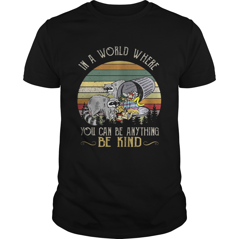 Racoon in a world where you can be anything be kind sunset shirts