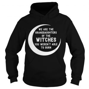 We are the granddaughters of the witches you werent able to burn hoodie