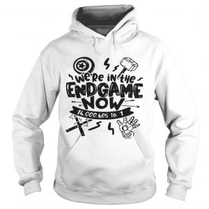 Were In The Endgame Now hoodie