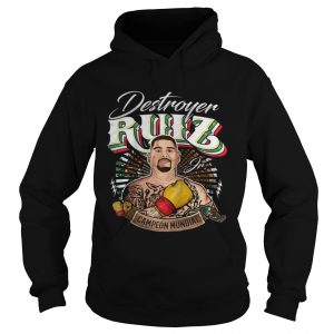 Destroyer Ruiz Jr world champion hoodie