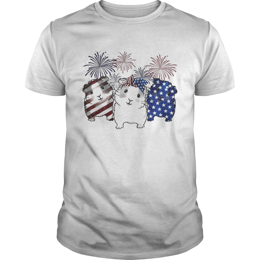 Fireworks Guinea Pigs 4th of July independence day American flag shirts