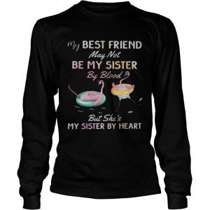 Flamingo my best friend may not be my sister by blood longsleeve tee