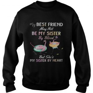 Flamingo my best friend may not be my sister by blood sweatshirt