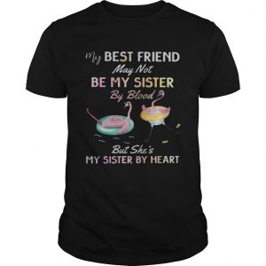 Flamingo my best friend may not be my sister by blood unisex