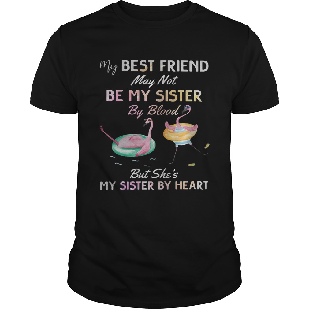 Flamingo my best friend may not be my sister by blood shirts