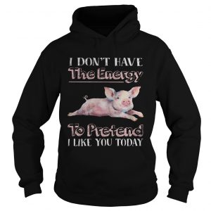 Pig I dont have the energy to pretend i like you today hoodie