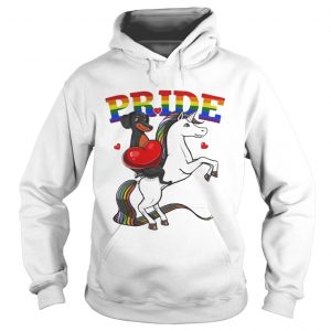 Pride Dachshund Riding Unicorn LGBT Pride hoodie