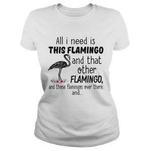 All I need is this flamingo and that other flamingo and those flamingos over there ladies tee