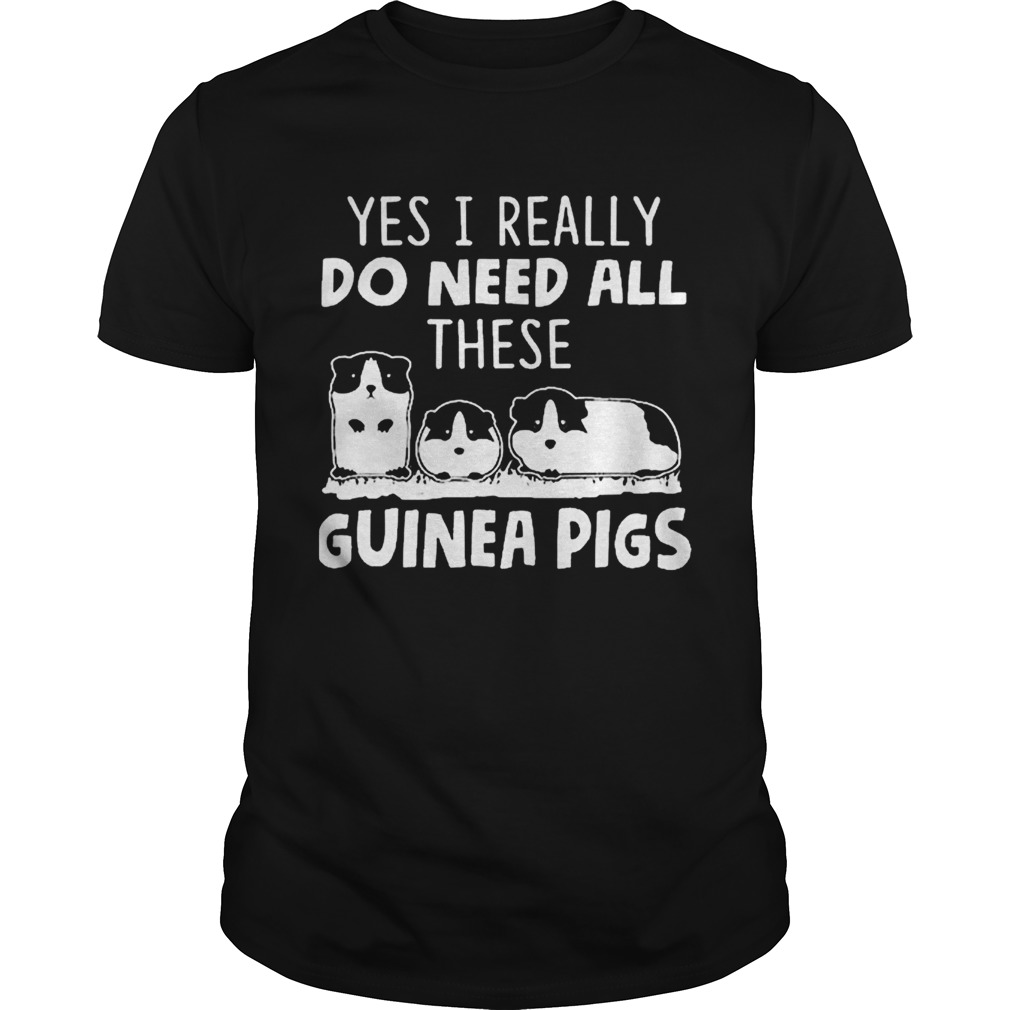 All i need is this guinea pigs shirt