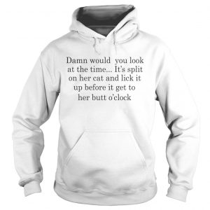 Damn Would You Look At The Time Its Spit On Her Cat And Lick It hoodie