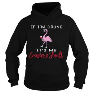 Flamingo if Im drunk its my cousins fault hoodie