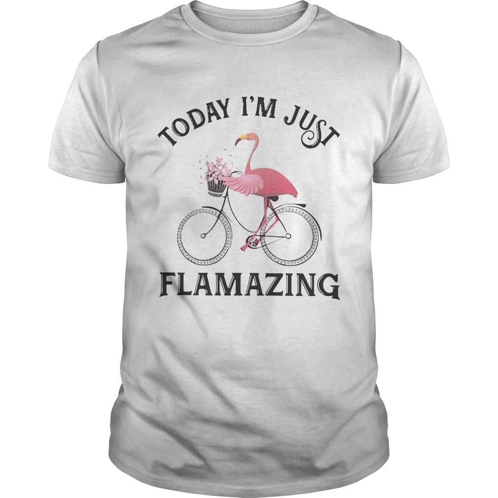 Flamingo today Im just flamazing shirt