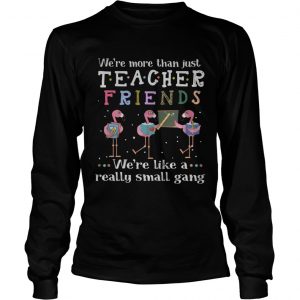 Flamingo were more than justteacher friends were like a really logsleeve tee