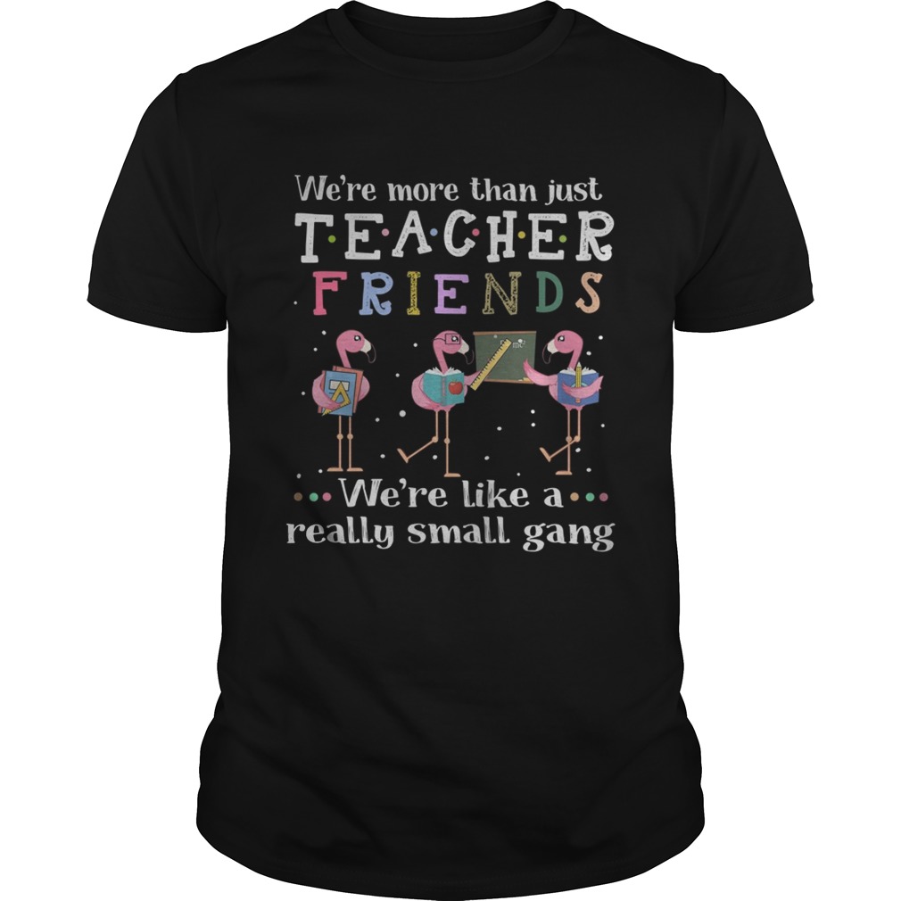 Flamingo were more than justteacher friends were like a really shirt