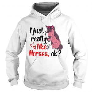 I just really like horses ok hoodie