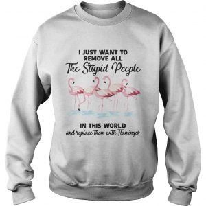 I just wantto remove allthe stupid people in this world and sweatshirt