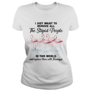 I just wantto remove allthe stupid people in this world andladies tee