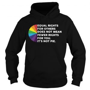 LGBT Equal rights for others does not mean fewer rights for you its not pie hoodie