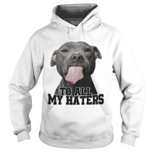 Pitbull to all my haters hoodie