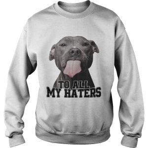 Pitbull to all my haters sweatshirt