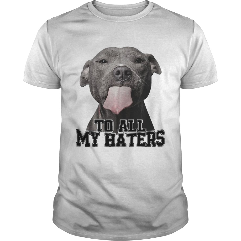 Pitbull to all my haters shirt