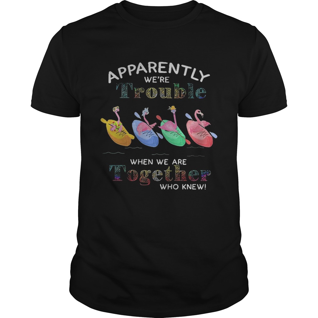 Flamingo apparently were trouble when we are together who knew shirt