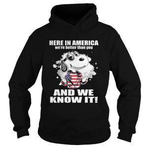 Here In America Were Better Than You And We Know It hoodie