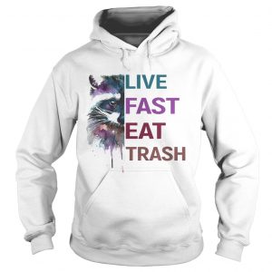 Water Color Raccoon Live Fast Eat Trash hoodie