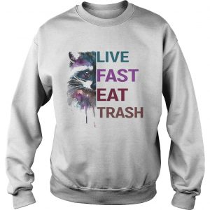 Water Color Raccoon Live Fast Eat Trash sweatshirt