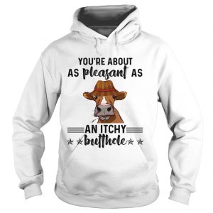 Cow youre about as pleasant as an itchy butthole hoodie